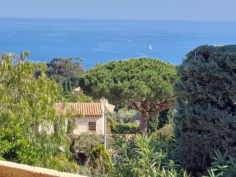 4-Star Private Villa With Heated Pool And Panoramic Sea View At Gulf De Saint Tropez Cavalaire-sur-Mer Eksteriør bilde